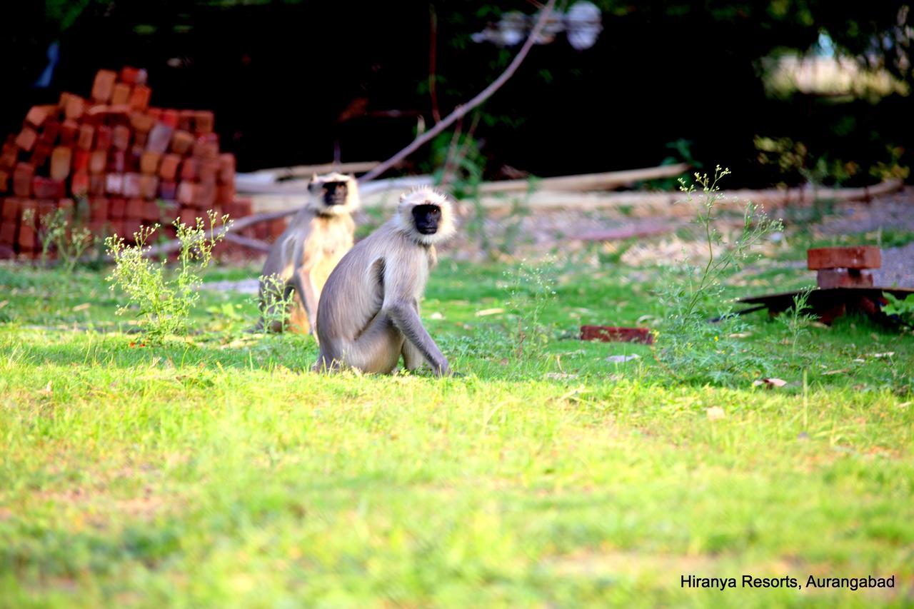 Hiranya Nature Retreat Daulatabad Buitenkant foto